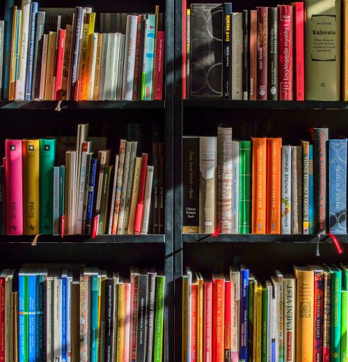 dentro-in-casa-pink-onthe-stripes-libreria-libri