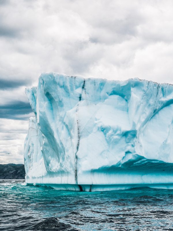 la-peggior-cena-della-mia-vita-pink-on-the-stripes-iceberg-titanic